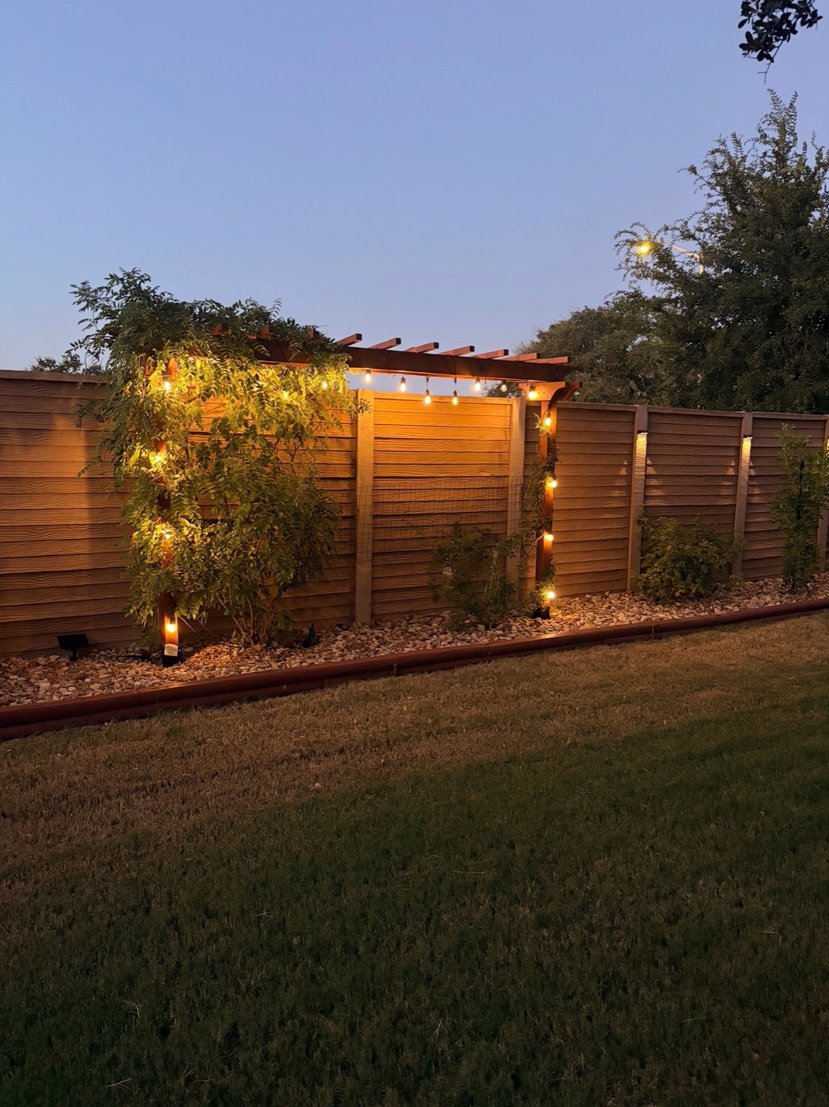 Custom wood arbor with climbing greenery and string lights glowing at dusk in an Austin backyard